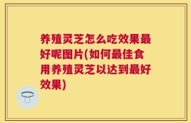 养殖灵芝怎么吃效果最好呢图片(如何最佳食用养殖灵芝以达到最好效果)