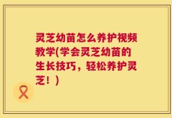 灵芝幼苗怎么养护视频教学(学会灵芝幼苗的生长技巧，轻松养护灵芝！)