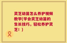 灵芝幼苗怎么养护视频教学(学会灵芝幼苗的生长技巧，轻松养护灵芝！)