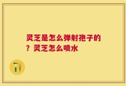 灵芝是怎么弹射孢子的？灵芝怎么喷水