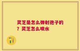 灵芝是怎么弹射孢子的？灵芝怎么喷水