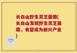 长白山野生灵芝菌蘑(长白山发现野生灵芝菌蘑，有望成为新兴产业)