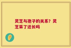 灵芝与孢子的关系？灵芝采了还长吗