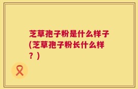 芝草孢子粉是什么样子(芝草孢子粉长什么样？)