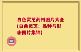 白色灵芝药材图片大全(白色灵芝：品种与形态图片集锦)