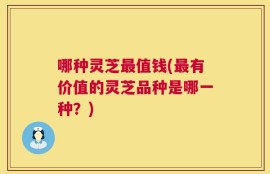 哪种灵芝最值钱(最有价值的灵芝品种是哪一种？)
