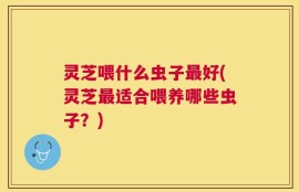 灵芝喂什么虫子最好(灵芝最适合喂养哪些虫子？)