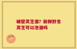 破壁灵芝酒？新鲜野生灵芝可以泡酒吗