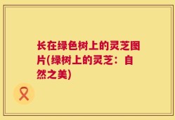 长在绿色树上的灵芝图片(绿树上的灵芝：自然之美)