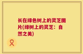 长在绿色树上的灵芝图片(绿树上的灵芝：自然之美)
