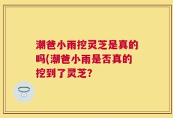 潮爸小雨挖灵芝是真的吗(潮爸小雨是否真的挖到了灵芝？