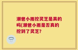 潮爸小雨挖灵芝是真的吗(潮爸小雨是否真的挖到了灵芝？