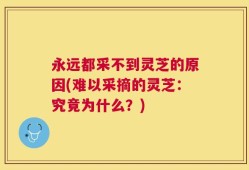 永远都采不到灵芝的原因(难以采摘的灵芝：究竟为什么？)