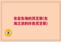 东至东海的灵芝草(东海之滨的珍贵灵芝草)