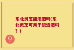东北灵芝能泡酒吗(东北灵芝可用于酿造酒吗？)