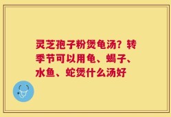 灵芝孢子粉煲龟汤？转季节可以用龟、蝎子、水鱼、蛇煲什么汤好