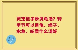 灵芝孢子粉煲龟汤？转季节可以用龟、蝎子、水鱼、蛇煲什么汤好