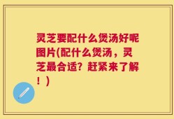 灵芝要配什么煲汤好呢图片(配什么煲汤，灵芝最合适？赶紧来了解！)