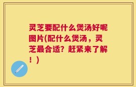 灵芝要配什么煲汤好呢图片(配什么煲汤，灵芝最合适？赶紧来了解！)