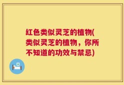 红色类似灵芝的植物(类似灵芝的植物，你所不知道的功效与禁忌)