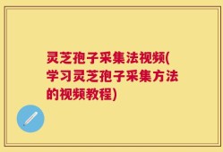灵芝孢子采集法视频(学习灵芝孢子采集方法的视频教程)