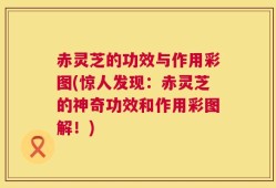 赤灵芝的功效与作用彩图(惊人发现：赤灵芝的神奇功效和作用彩图解！)