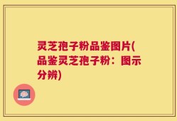 灵芝孢子粉品鉴图片(品鉴灵芝孢子粉：图示分辨)