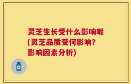 灵芝生长受什么影响呢(灵芝品质受何影响？影响因素分析)