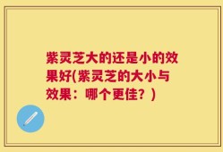 紫灵芝大的还是小的效果好(紫灵芝的大小与效果：哪个更佳？)