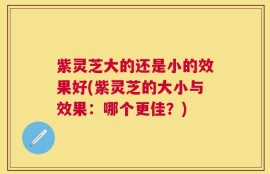 紫灵芝大的还是小的效果好(紫灵芝的大小与效果：哪个更佳？)
