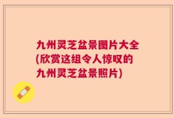九州灵芝盆景图片大全(欣赏这组令人惊叹的九州灵芝盆景照片)