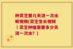 种灵芝要几天浇一次水呢视频(灵芝生长视频｜灵芝种植需要多少天浇一次水？)