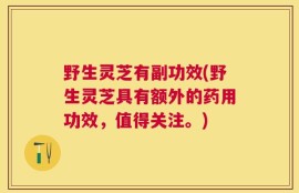 野生灵芝有副功效(野生灵芝具有额外的药用功效，值得关注。)