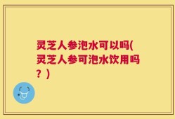 灵芝人参泡水可以吗(灵芝人参可泡水饮用吗？)