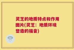 灵芝的地质特点和作用图片(灵芝：地质环境塑造的福音)