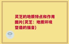 灵芝的地质特点和作用图片(灵芝：地质环境塑造的福音)