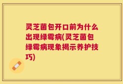 灵芝菌包开口前为什么出现绿霉病(灵芝菌包绿霉病现象揭示养护技巧)