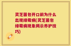 灵芝菌包开口前为什么出现绿霉病(灵芝菌包绿霉病现象揭示养护技巧)