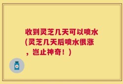 收到灵芝几天可以喷水(灵芝几天后喷水很涨，岂止神奇！)