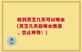 收到灵芝几天可以喷水(灵芝几天后喷水很涨，岂止神奇！)