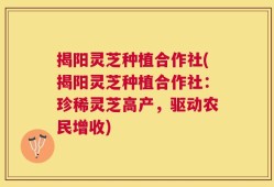 揭阳灵芝种植合作社(揭阳灵芝种植合作社：珍稀灵芝高产，驱动农民增收)
