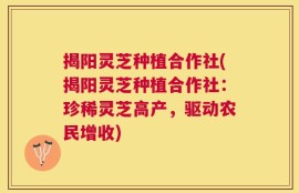 揭阳灵芝种植合作社(揭阳灵芝种植合作社：珍稀灵芝高产，驱动农民增收)