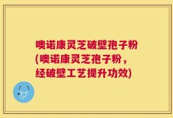噢诺康灵芝破壁孢子粉(噢诺康灵芝孢子粉，经破壁工艺提升功效)