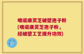 噢诺康灵芝破壁孢子粉(噢诺康灵芝孢子粉，经破壁工艺提升功效)