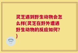 灵芝遇到野生动物会怎么样(灵芝在野外遭遇野生动物的反应如何？)