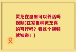 灵芝在屋里可以养活吗视频(在家里种灵芝真的可行吗？看这个视频就知道！)