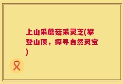 上山采蘑菇采灵芝(攀登山顶，探寻自然灵宝)