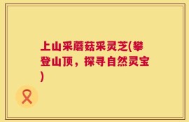 上山采蘑菇采灵芝(攀登山顶，探寻自然灵宝)