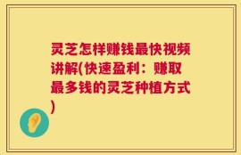 灵芝怎样赚钱最快视频讲解(快速盈利：赚取最多钱的灵芝种植方式)