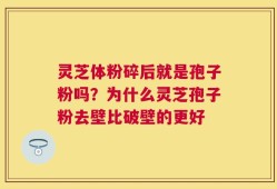 灵芝体粉碎后就是孢子粉吗？为什么灵芝孢子粉去壁比破壁的更好